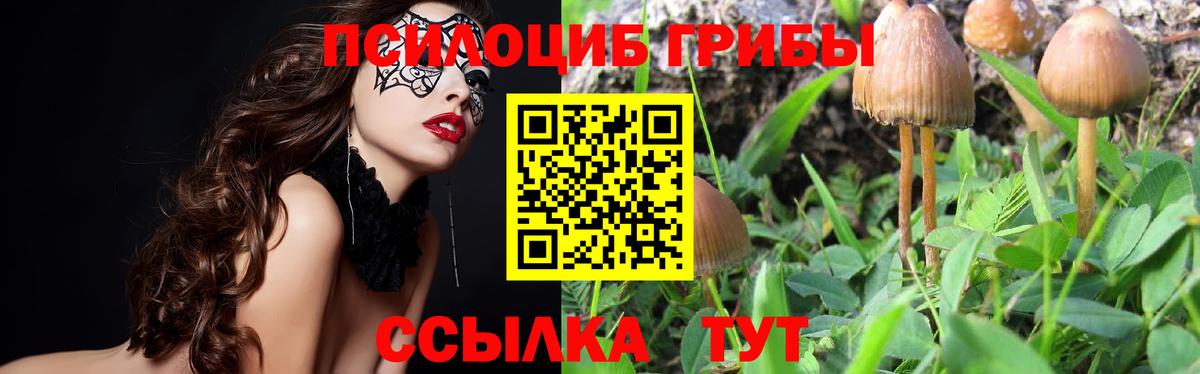 Псилоцибиновые грибы Magic Shrooms  Вход с VPN  Кольчугино 