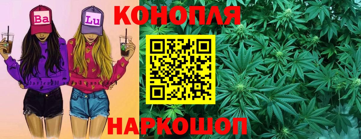 Шишки марихуана планчик  Бошки марихуана тримм  Вход с VPN  Шишки марихуана марихуана  Кольчугино 